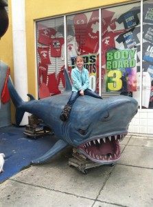 shark rider