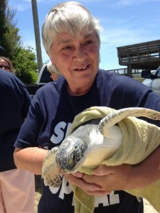 Volunteer holding turtle